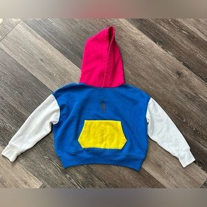 Polo Hoodie